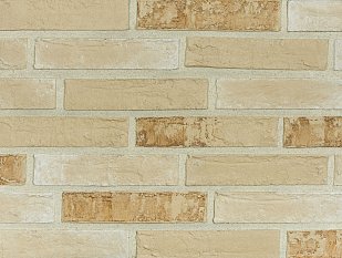 Искусственный камень Lifebrick Clio 110.